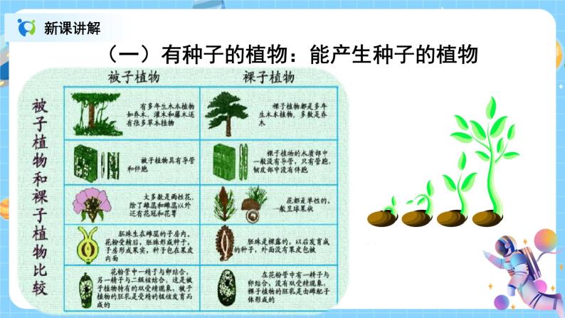 浙教版科学七年级上2.5《常见的植物》课件+教案+同步练习05