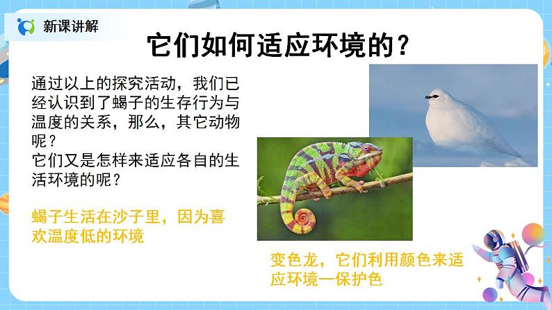 浙教版科学七年级上2.6《生物的适应性和多样形》课件+教案+同步练习08