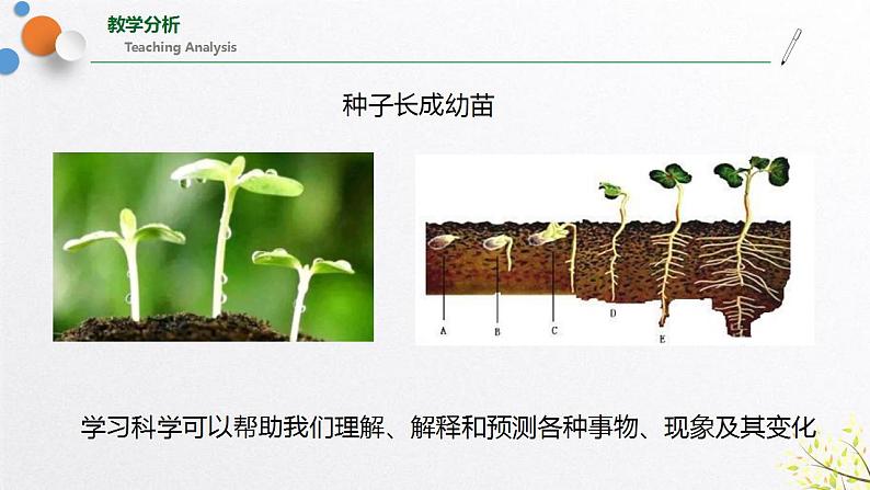 浙教版七上科学 1.1 科学并不神秘 课件06