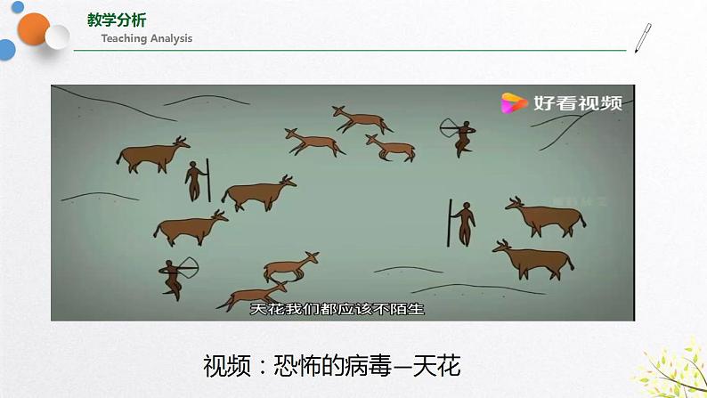 浙教版七上科学 1.5 科学探究 课件07