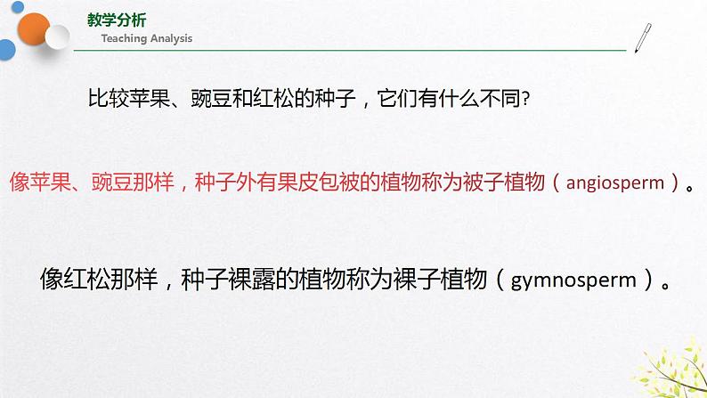 浙教版七上科学2.5 常见的植物 课件07