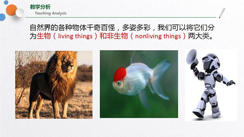 浙教版七上科学2.1生物与非生物 课件02