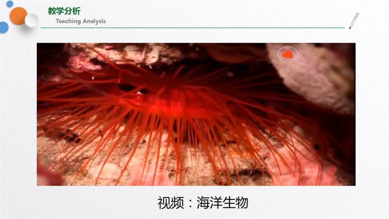 浙教版七上科学2.1生物与非生物 课件03