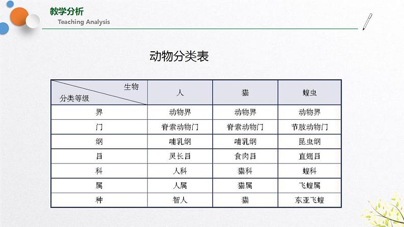 浙教版七上科学2.4 常见的动物 第1课时 课件07