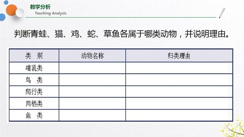 浙教版七上科学2.4 常见的动物 第2课时 课件第3页