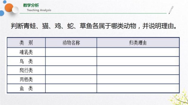 浙教版七上科学2.4 常见的动物 第2课时 课件03