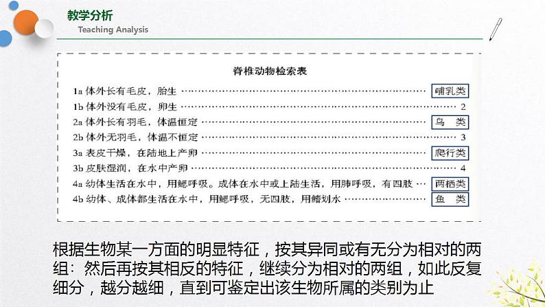 浙教版七上科学2.4 常见的动物 第2课时 课件第6页