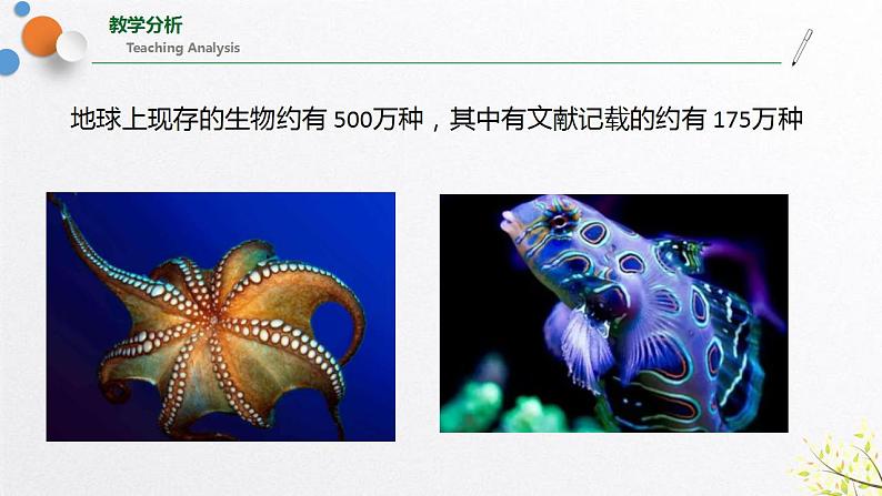 浙教版七上科学2.6 物种的多样性 课件02