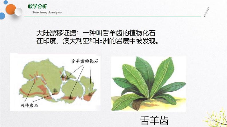 浙教版七上科学 3.6 地球表面的板块 课件08