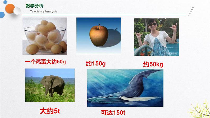 浙教版七上科学4.2质量的测量 课件05