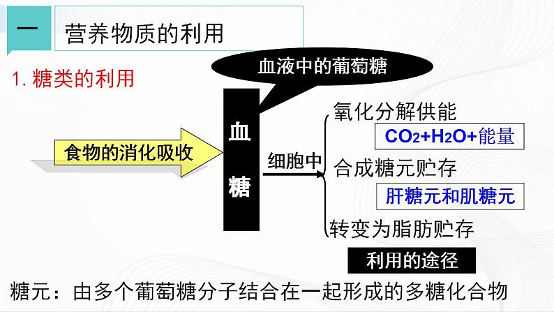 浙教版九上科学 4.5 体内物质的动态平衡（一）课件03