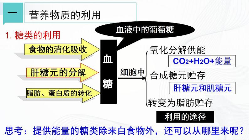 浙教版九上科学 4.5 体内物质的动态平衡（一）课件04