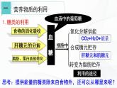 浙教版九上科学 4.5 体内物质的动态平衡（一）课件