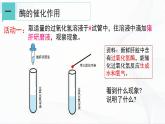 浙教版九上科學(xué) 4.2 食物的消化與吸收（二）課件