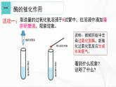 浙教版九上科学 4.2 食物的消化与吸收（二）课件