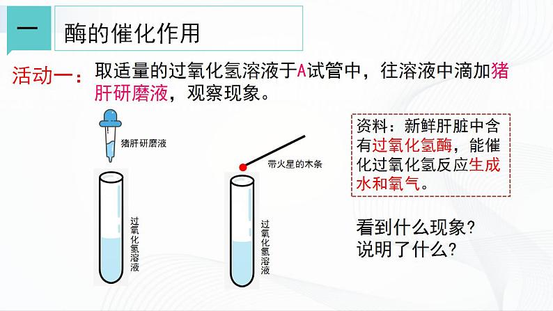 浙教版九上科学 4.2 食物的消化与吸收（二）课件05