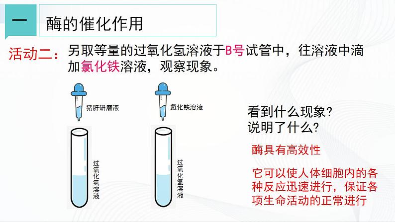 浙教版九上科学 4.2 食物的消化与吸收（二）课件06