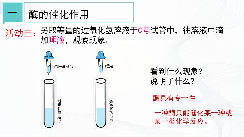 浙教版九上科学 4.2 食物的消化与吸收（二）课件07