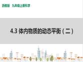 浙教版九上科学 4.5 体内物质的动态平衡（二）课件