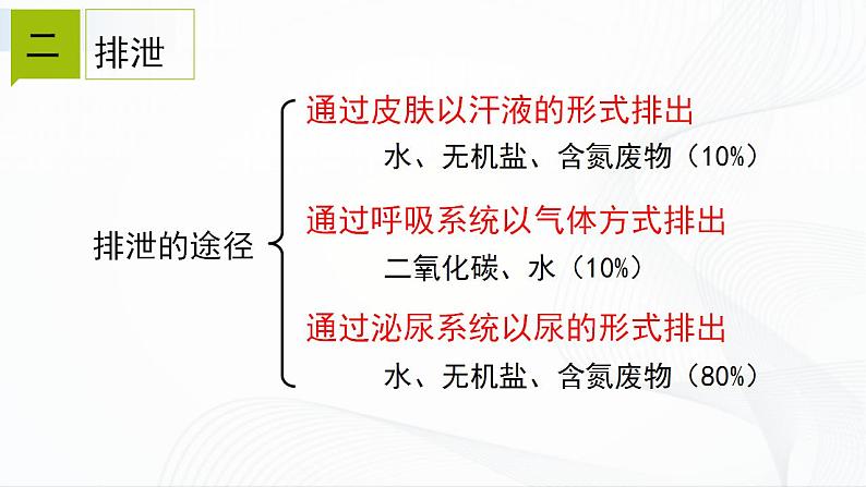 浙教版九上科学 4.5 体内物质的动态平衡（二）课件03