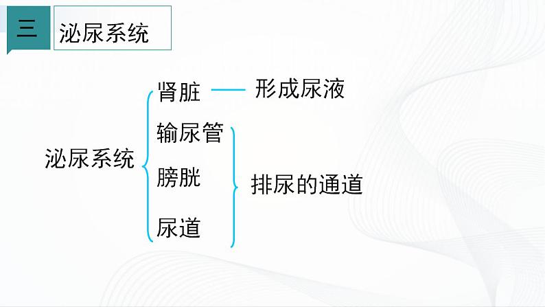 浙教版九上科学 4.5 体内物质的动态平衡（二）课件05