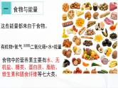 浙教版九上科学 4.1  食物与营养 课件