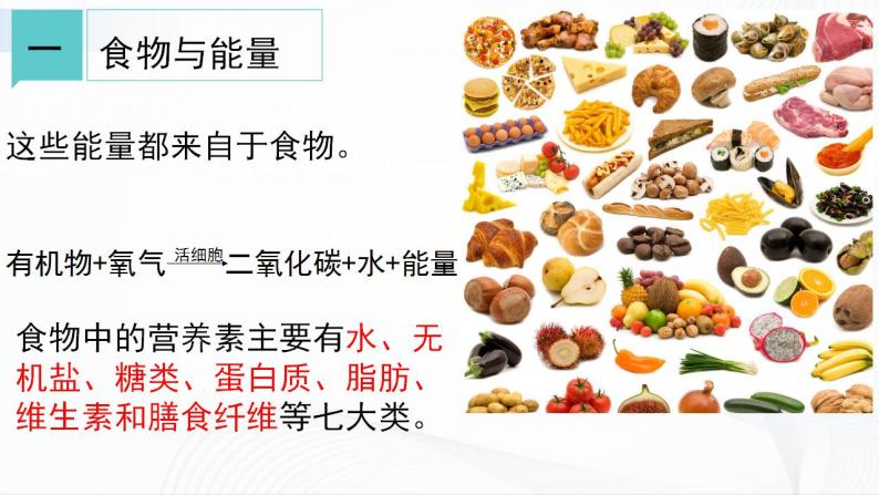浙教版九上科学 4.1  食物与营养 课件04