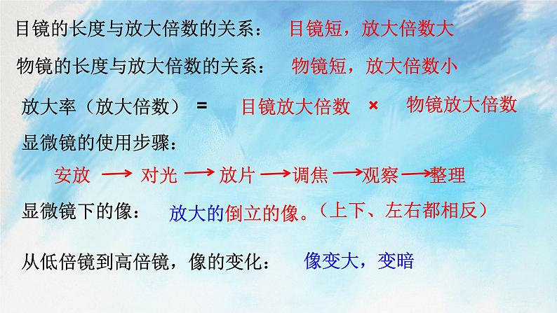 浙教版7上科学 2.2.3 细胞 课件03