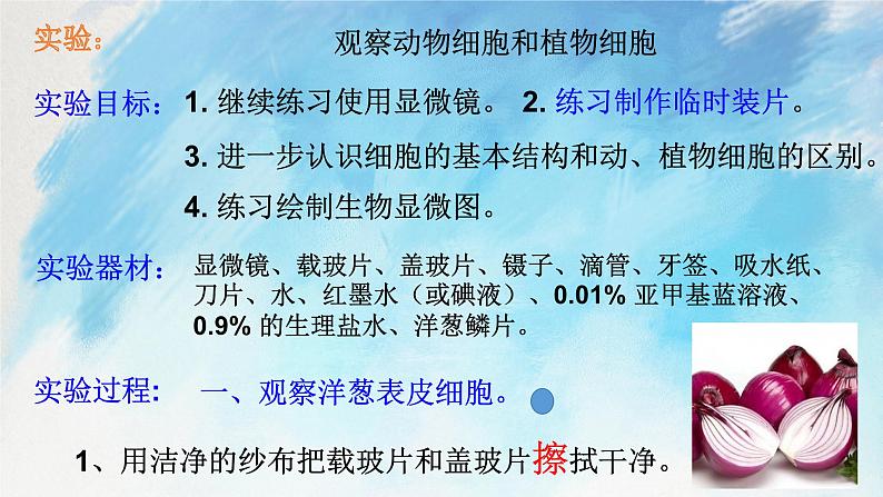 浙教版7上科学 2.2.3 细胞 课件05