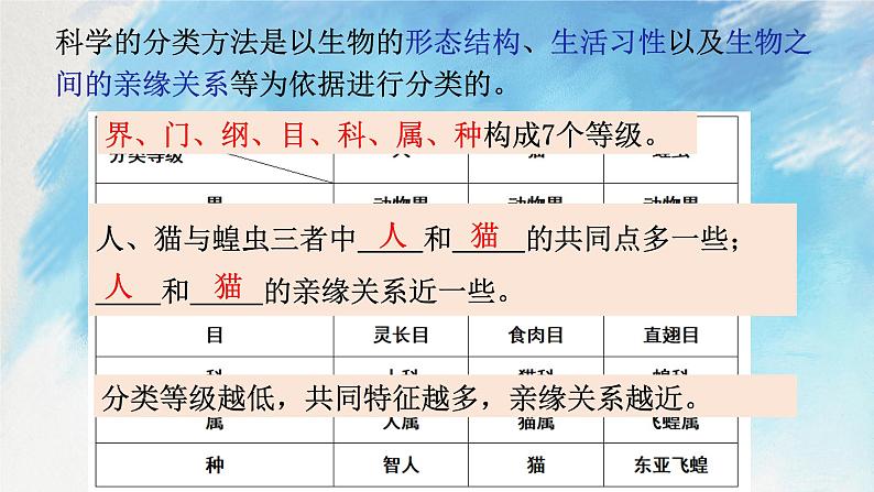 浙教版7上科学 2.4.1 常见的动物 课件05