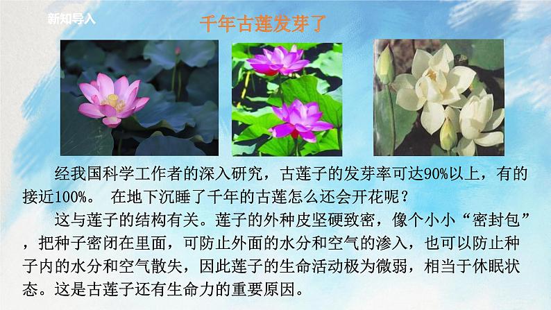 浙教版7上科学 2.5.1 常见的植物 课件02