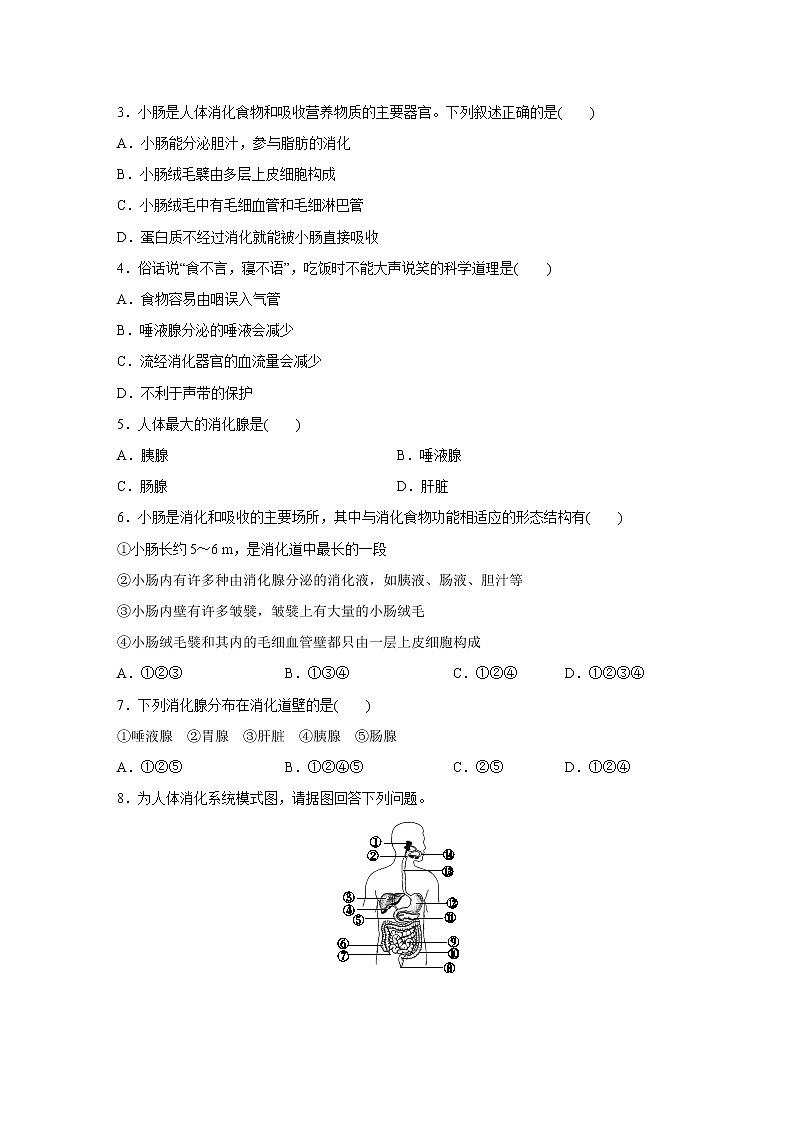 浙教版科学九年级上册同步提优训练：4.2   食物的消化与吸收   第1课时（含解析）02