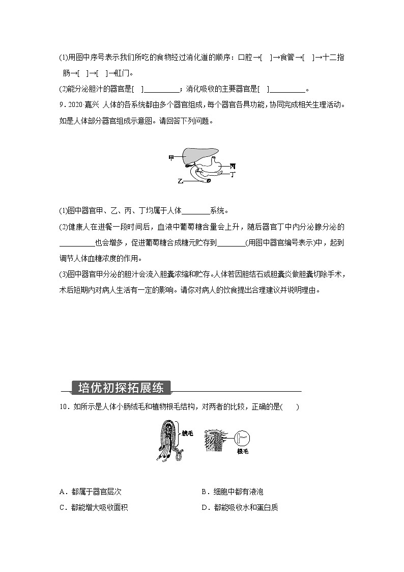 浙教版科学九年级上册同步提优训练：4.2   食物的消化与吸收   第1课时（含解析）03