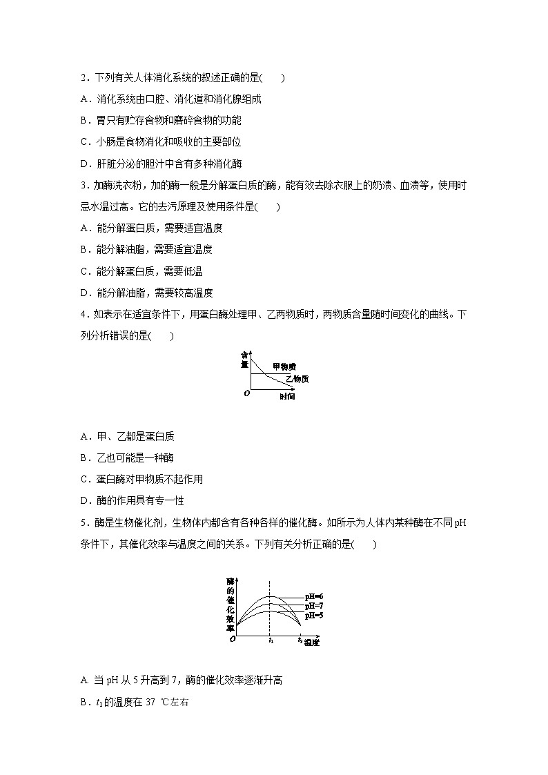 浙教版科学九年级上册同步提优训练：4.2   食物的消化与吸收   第3课时（含解析）02