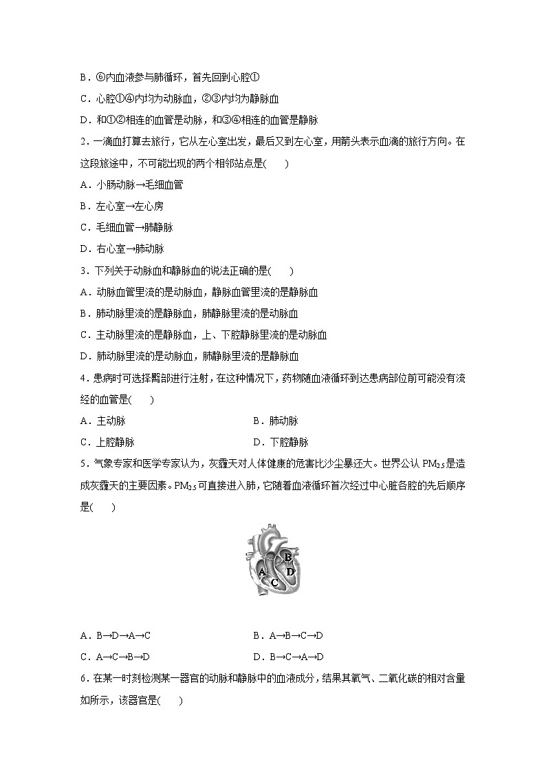 浙教版科学九年级上册同步提优训练：4.3   体内物质的运输   第3课时（含解析）02