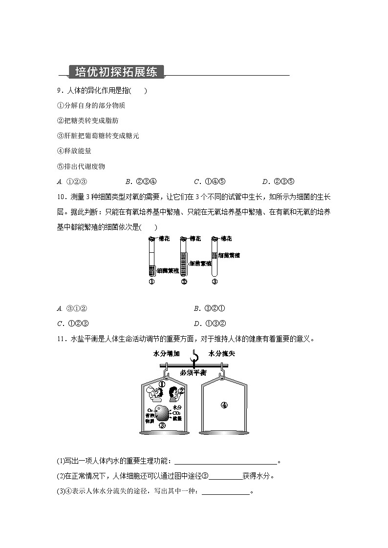 浙教版科学九年级上册同步提优训练：4.5   体内物质的动态平衡   第3课时（含答案）03