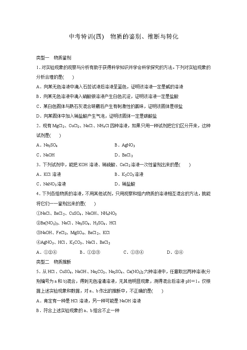 浙教版科学九年级上册同步提优训练：专题练习  物质的鉴别、推断与转化（含解析）01