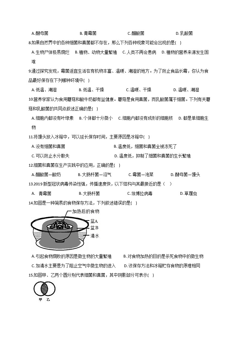华东师大版七上科学 2.3细菌和真菌 同步训练+答案02