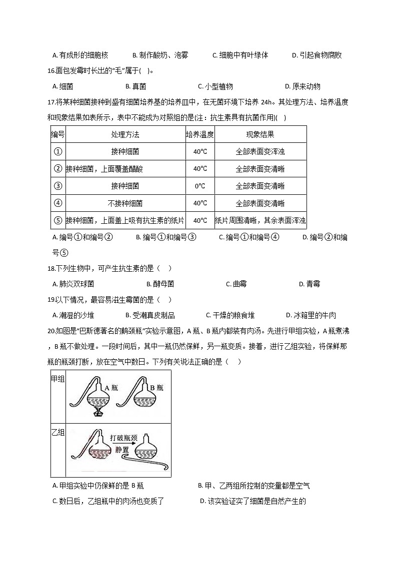 华东师大版七上科学 2.3细菌和真菌 同步训练+答案03