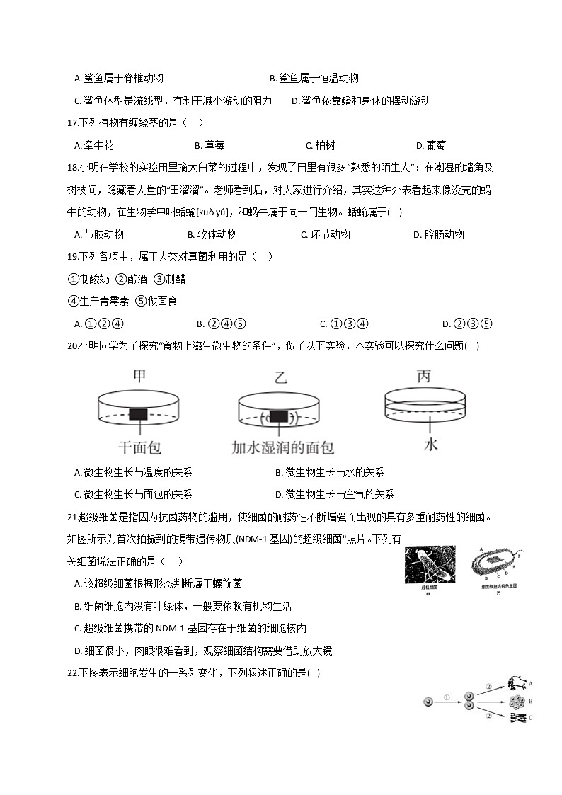 华东师大版七上科学 期末模拟卷+答案第3页