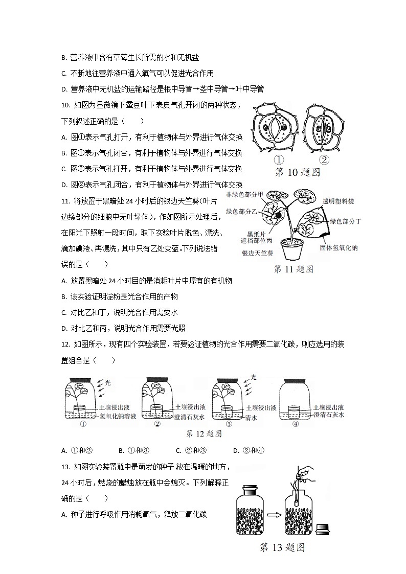 华东师大版科学八年级上册 第4章 物的物质和能量的转化 单元检测卷 （含答案）03