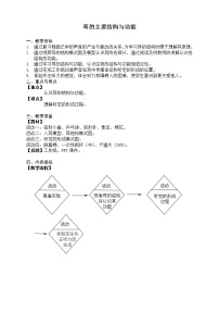 初中科学牛津上海版七年级上册耳的主要结构及其功能教案