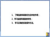 华东师大版九上科学 第二章第二节《重要的酸》第一课时 课件PPT