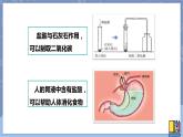 华东师大版九上科学 第二章第二节《重要的酸》第一课时 课件PPT