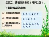 牛津上海版六上科学 2.3动植物的分类 课件PPT