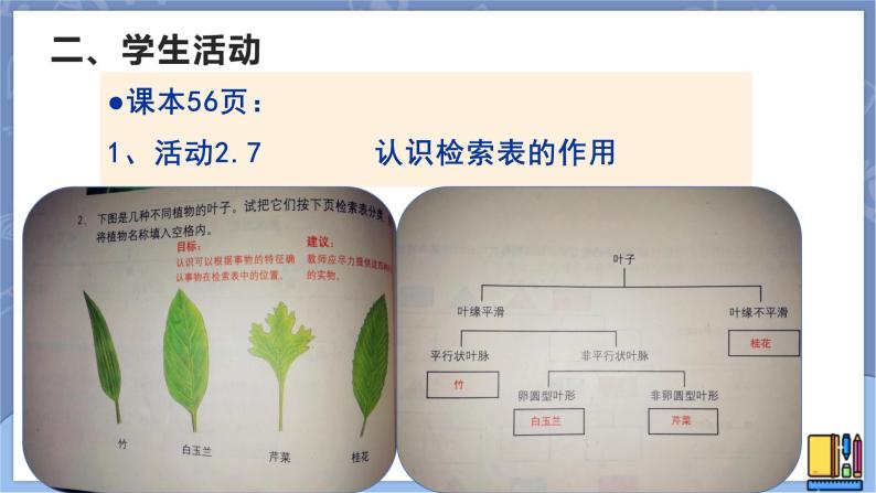 牛津上海版六上科学 2.4检索表 课件PPT08