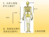 牛津上海版科学七年级上册 10.1.2运动与健康 课件PPT