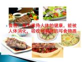 牛津上海版科学七年级上册 10.2.1食物中主要成分的作用及检验 课件PPT