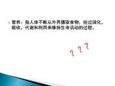 牛津上海版科学七年级上册 10.2.1食物中主要成分的作用及检验 课件PPT