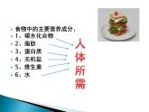 牛津上海版科学七年级上册 10.2.1食物中主要成分的作用及检验 课件PPT